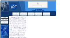 Desktop Screenshot of illinoisblue.com